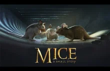 Animacja o myszach