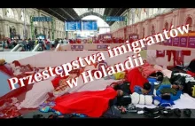 Holenderski rząd ukrywa przestępstwa imigrantów!