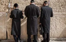 Rabini chcą rozwoju żydowskiej edukacji w Polsce - czekają na decyzję władz