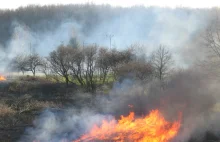 Rekordowa liczba pożarów traw na Mazowszu