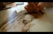 Pirorografia czyli sztuka wypalania w drewnie