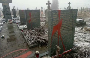 Wandale zniszczyli polskie pomniki w Podkamieniu.Napisali: "śmierć Lachom"