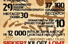 Uzbrojenie powstańców warszawskich 1 sierpnia '44 - infografika