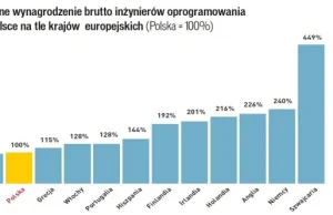 Eksport specjalistów