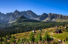 Panorama Tatr z Doliny Gąsienicowej