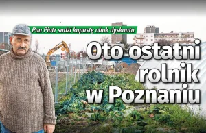 Oto ostatni rolnik w Poznaniu. Uprawia ziemniaki między centrami handlowymi