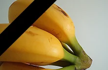 Możemy być ostatnim pokoleniem, które jada banany.