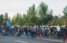 Kolejna fala imigrantów rusza nową trasą na Austrię i Niemcy....