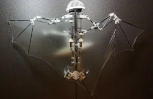 Bat Bot - dron naśladujący nietoperza