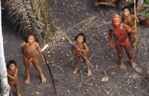 Pierwszy od 20 lat kontakt z dzikim plemieniem lasów Amazonii