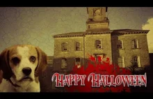Nawiedzony dom do wynajęcia- Amatorskie Halloween wideo z udziałem psów.