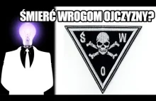 "Śmierć wrogom ojczyzny": patriotyzm czy patologia?