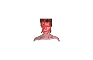 Ziggy Stardust na fasadzie Prahran Apartment! :. .: dla architekta