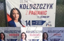 Kandydatka PiS reklamuje się jako kandydatka z Błaszek, Zgierza, Pabianic, ...