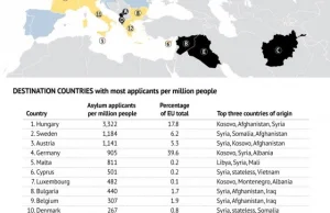 Syryjczycy stanowią tylko 16% uchodźców, fragment analizy STRATFOR