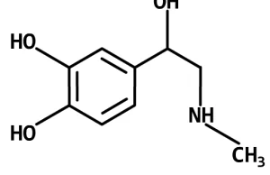 Ikona adrenalina. Adrenaline icon.