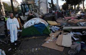 Wśród imigrantów z Paryża w zastraszającym tempie rozwija się świerzb.