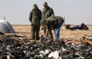 Rosja: To Szare Wilki zorganizowały zamach na rosyjski samolot lecący z Egiptu