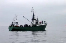 W Bałtyku dryfuje aż 800 ton rybackich sieci widm