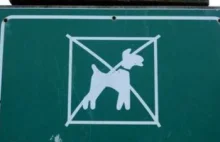 Szczecin: zakaz wstępu dla psów?