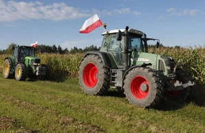 Polska: Rolnicy przeciwni importowi zboża z Ukrainy