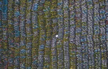 Tysiące rowerów w idealnym stanie. "Cmentarzysko" rodem z galerii sztuki