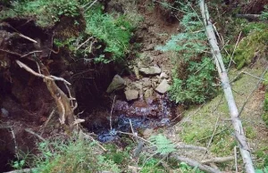 Poszukiwania uranu w Polsce, cz.1 Śnieżnik