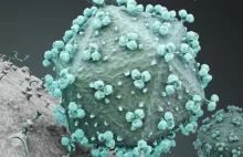Scientists have pinpointed where HIV originated [ENG]