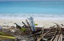Więcej plastiku niż ryb? Te dane o stanie mórz i oceanów szokują