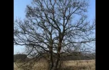 Opole Lubelskie, Ścieżka Kleniewo, Trasa rowerowa.wmv