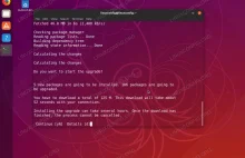 Można już pobrać wczesną wersję systemu Ubuntu 19.04 Disco Dingo