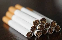 Polacy kupują nielegalne papierosy