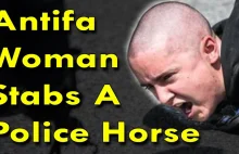 Antifa Psycho Allegedly Stabs Police Horse With A Flag Pole