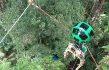 Google StreetView trafia do amazońskiej dżungli