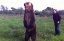 Rosjanin wytresował niedźwiedzia :D