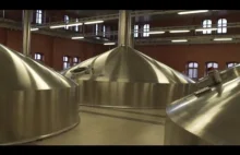 Jak powstaje piwo w Tyskich Browarach Książęcych? - Fabryki w Polsce