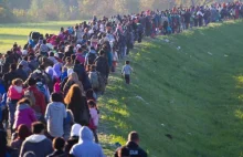 Imigranci szturmują polską granicę. Kwitnie biznes przemytniczy