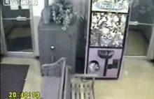 Mały złodziej złapany przez kamerę CCTV