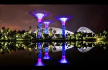 Singapur nocą: Singapore Marina Bay Sands, Gardens by the Bay