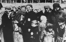 Auschwitz: żydowski lekarz i okrutne eksperymenty medyczne. Dlaczego to robił?