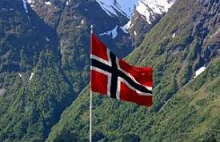 Norwegia jako pierwszy kraj na świecie zakazała wylesiania.