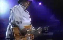 Bo Diddley - I'm A Man