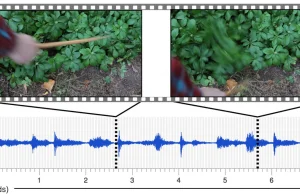 Sztuczna inteligencja badaczy z MIT potrafi oszukać nasz zmysł słuchu