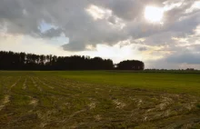 Najwięcej polskiej ziemi kupują Holendrzy
