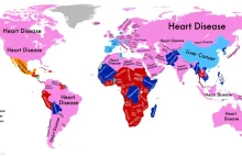 This Map Shows The Most Deadly Disease In Every Nation