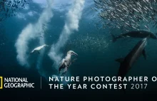 2017 National Geographic Nature Photographer of the Year