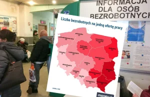 Narzekają, że brakuje rąk do pracy. GUS: na jedną ofertę po 50 bezrobotnych.