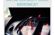 Jak szybko jeżdżą Polacy?