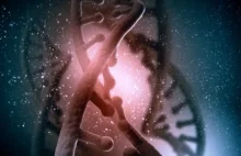 Cztery gramy DNA wystarczą, aby zapisać wszystkie dane na Ziemi