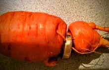 82-latek z Niemiec znalazł po 3 latach swoją obrączkę, która wrosła w marchewkę.